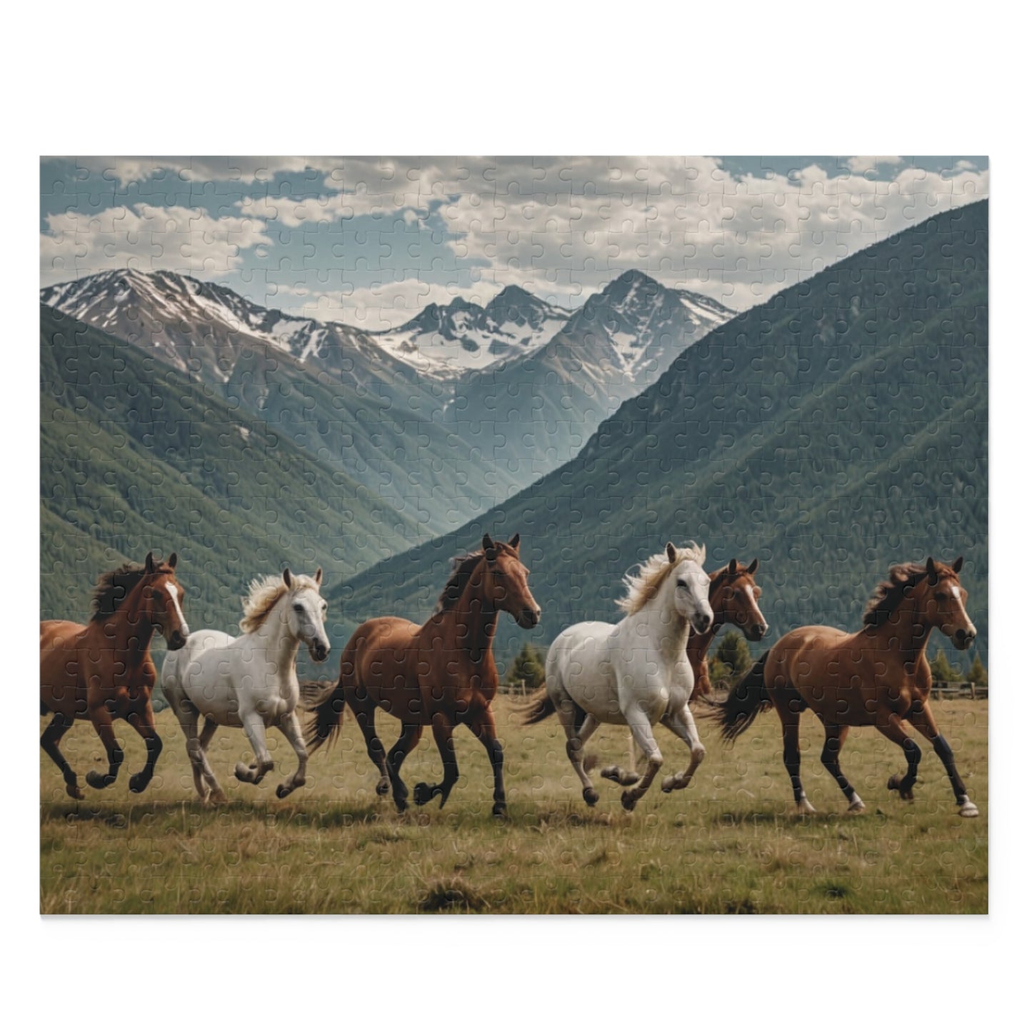 Puzzle (120, 252, 500-Piece) - KNACK