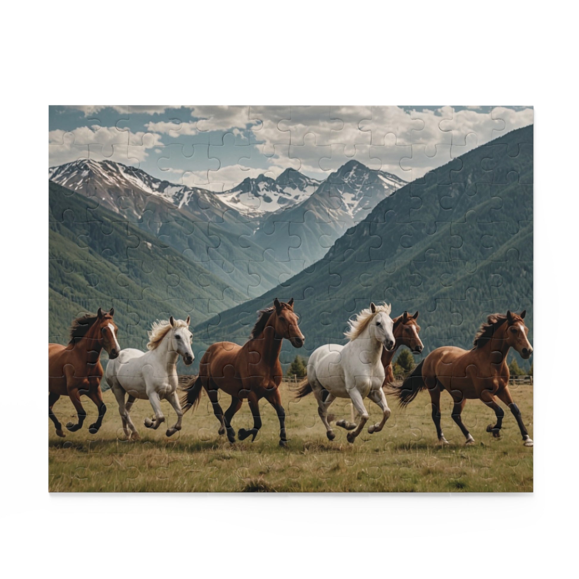 Puzzle (120, 252, 500-Piece) - KNACK